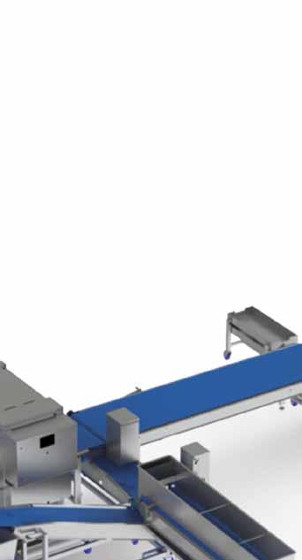 configurations Pizza Topping systems Rademaker Pizza Topping solutions are automated systems that can create topped pizza with tomato sauce, vegetables, grated cheese, ham and/or pepperoni cubes, etc.