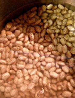 Pinto Beans Pinto Beans are originally from
