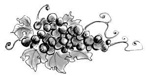 35,00 Sauvignon Blanc 0,1 l 2,90 Winery Geisser Palatinate 10 0,2 l 5,50 fruity, aroma of mint and gooseberries 0,75 l 19,80 Grüner Veltliner Federspiel, Terrassen 0,1 l 3,30 Winery Gattinger Wachau