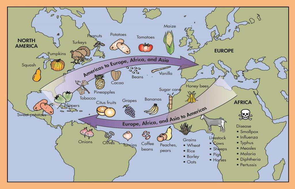 Columbian Exchange Cultural and biological exchanges between the Old World and the Americas Plants, animals,