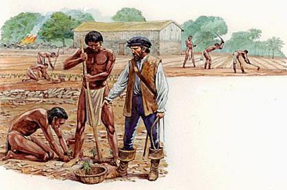 The Economy of Exploitation Mining, agriculture, shipping Early conquistadors were only interested in gold and silver Hacienda economy - large