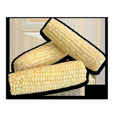 Corn, Shucked 48/Case 51207 White Corn,