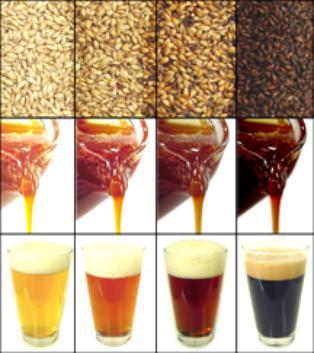 Color of malt Light Amber Dark Milling to Grits This