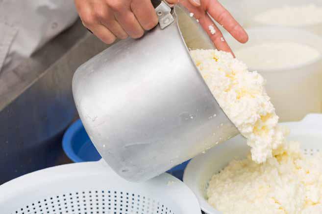 10 instructions for making mozzarella (Continued)? 9? USING A MICROWAVE TO STRETCH THE CURDS 9a. Ladle the curds into a large microwavable bowl and drain off the whey. Use rubber gloves if you like.