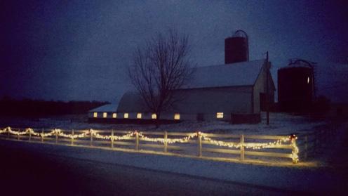 Anytime posts - Farm Facts & Interesting Information Deck the halls with these festive dairy traditions! http://bit.