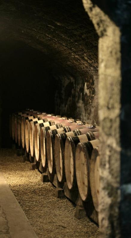 Introduction BURGUNDY 2008 EN PRIMEUR 2009 is a superb vintage for Burgundy and one of the best in the last ten years, certainly equal to and surpassing in some cases 1999, 2002 and 2005.