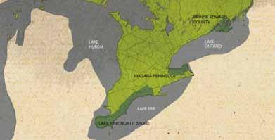 O n t a r i o Designated Viticultural Areas Ontario has defined THREE DVAs: Niagara Peninsula, Lake Erie North Shore (LENS), and Prince Edward County (PEC).