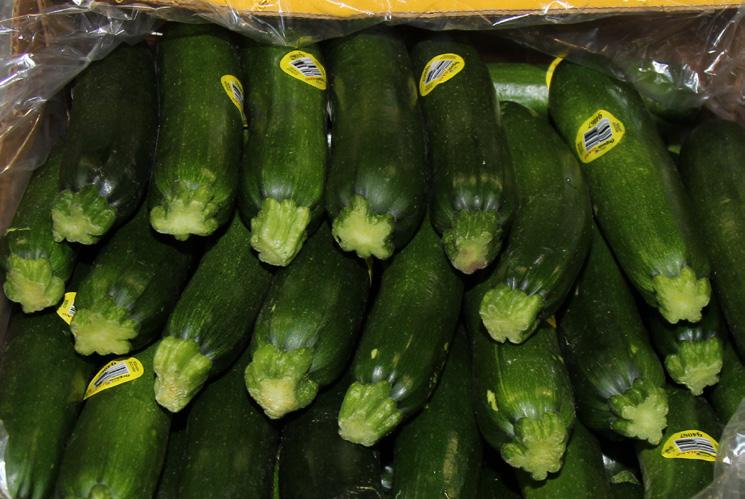 Organic Zucchini and Yellow Squash are in better supply this week out of Mexico.