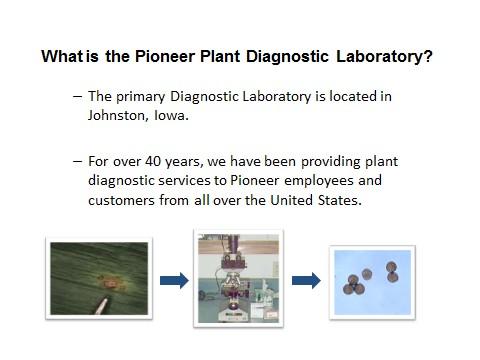 What is the Pioneer Plant Diagnostic Laboratory?
