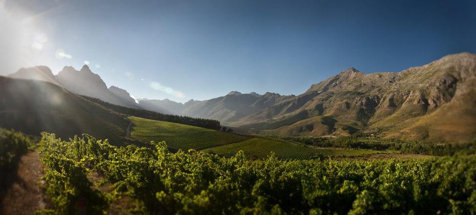 Travel 2016). The thirst of the Dutch and other settlers led to the making of good wine and so the hills and valleys around Stellenbosch were soon planted with vines and other agricultural crops.