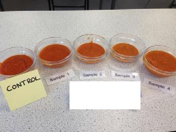 GCSE Food Preparation and Nutrition Investigation task Example folder 2 These pictures show the range of starches which I could use for my investigations.