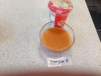Investigation 1 A control batch of tomato soup was made and blended using a hand blender, it was then thickened using the following ingredients: Control Blended hand