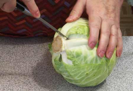 Heat the oven to 325 F. Using some of the remaining cabbage leaves, cover the bottom of a large baking dish or enameled cast iron pot (Dutch oven). Arrange a layer of cabbage rolls on the leaves.
