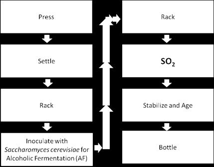 3 Figure 1.1 Process flow diagram for white wine.