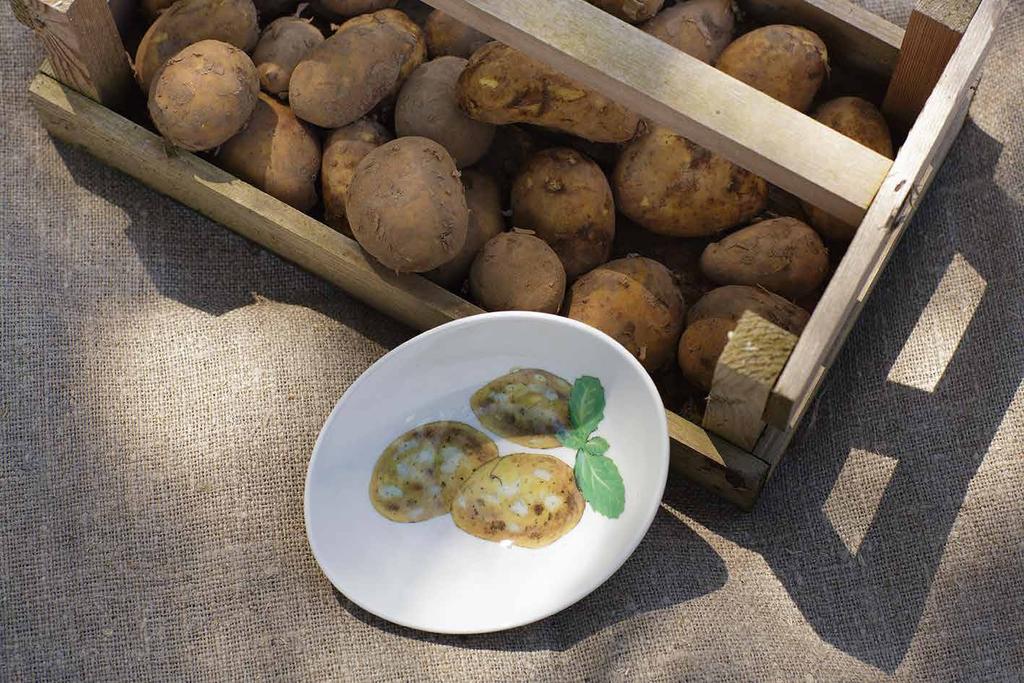 JERSEY ROYAL BOWLS page 54 Fine and durable small and large porcelain serving bowls featuring beautiful images of freshly-dug Jersey Royal new potatoes and their traditional accompaniment, a sprig of