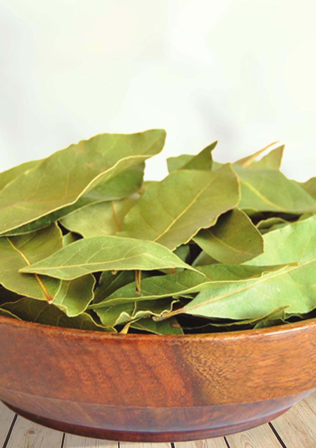 Bay / Laurel Leaf ( Laurus Nobilis ) Bay / laurel ( Laurus nobilis ) is an aromatic evergreen tree or a large shrub reaching 5 10 meters high and has dense branches with 4-10 cm long leaves.