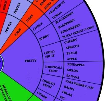 Wine Aroma Wheel - Fruity Section copyright