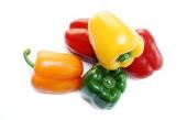 leaves yellow, stunted Peppers are Hot due to
