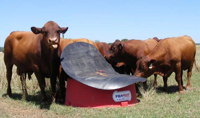 Warne Family, Billabalong, Injune PBA FEEDS LOOSE LICK FEEDER Lifelong beef cattle producers, the Warne family, have tasted