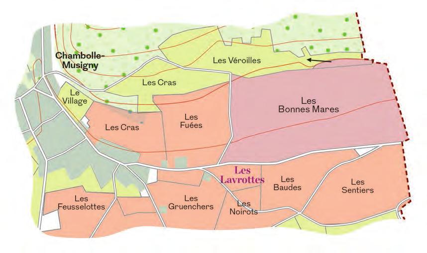 CHAMBOLLE-MUSIGNY, LES LAVROTTES, 1ER CRU TYPICAL PRODUCTION: 500 CASES OF SIX BOTTLES To all those who would like to discover our wines, may I recommend starting with Les Lavrottes?