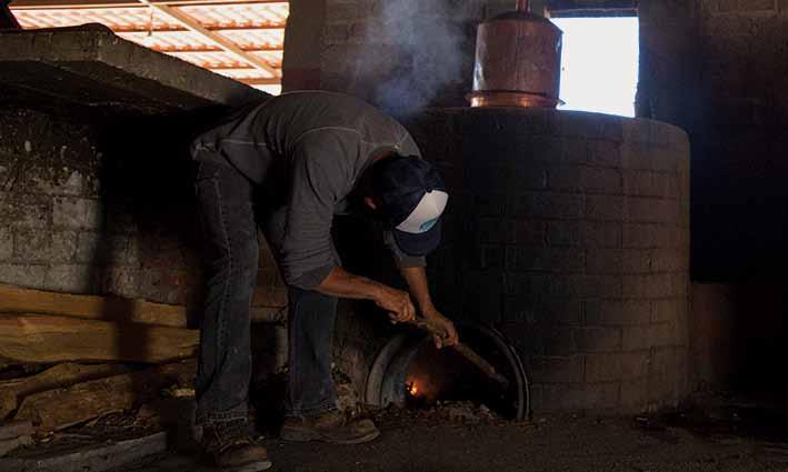 DISTILLING The fermented maguey mash is put into a