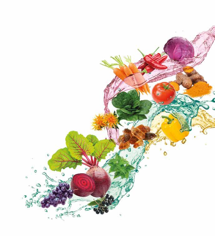 Fiorio Naturals. Be Natural! Natural Colours, Natural Flavours and Colouring Foods A COMPLETE RANGE OF COLOURING FOODS, AND NATURAL COLOURS.