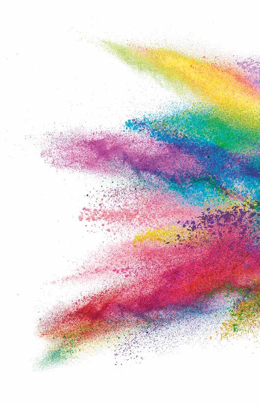 Fiorio Synthetics: purity and stability Synthetic Colours Fiorio Colori is currently the only European manufacturer offering the full range of synthetic food grade dyes, lakes and pigments.