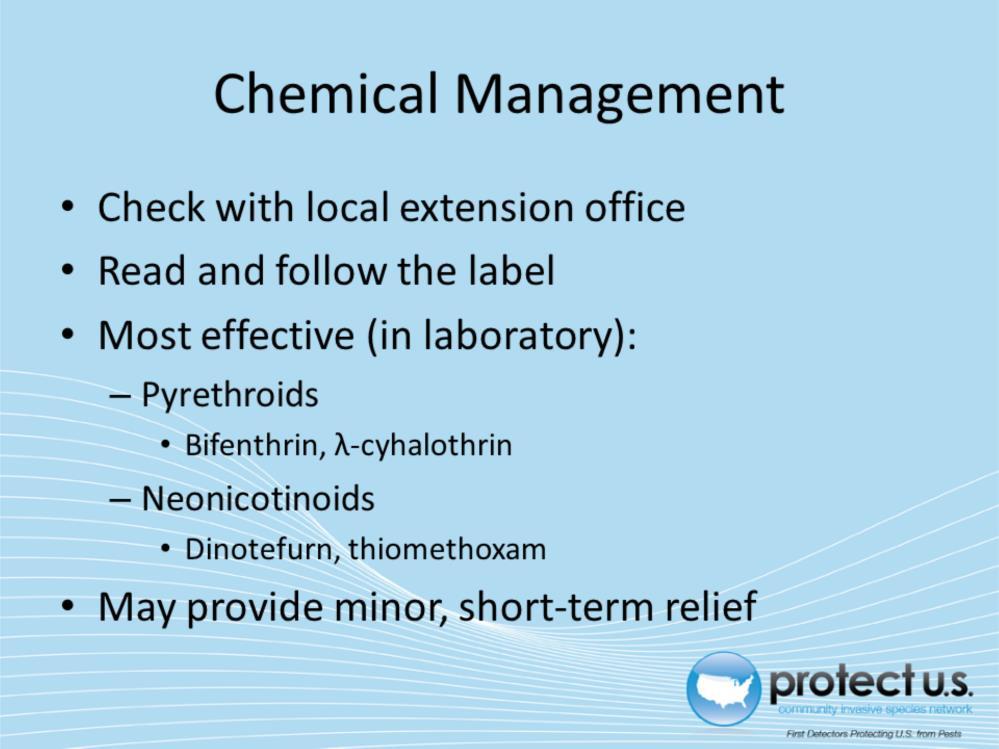 It is very important to check first with your local extension office before choosing chemical management of BMSB.