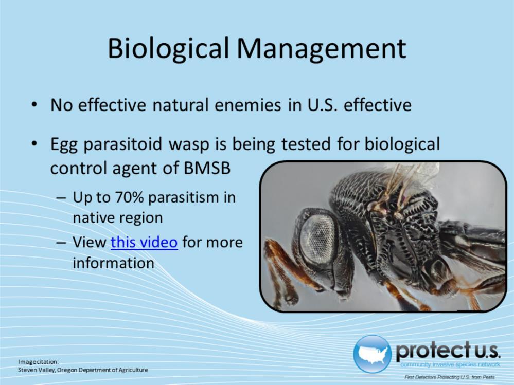 Naturally occurring enemies (i.e. parasites, parasitoids, or pathogens) can be used for more effective and longer lasting of pest organisms.