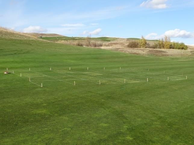 3-year Chemical / Biocontrol Study @ Palouse Ridge G C D-7 1 app fall 2016 and still to do fall 2017@ 3 rates (1, 5, and 15 fl oz/a; same as 2, 10, and 30 g/a)