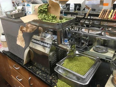 Hop Preparation and Dry-Hopping Parameters Hop Preparation For Dry Hopping Blended whole cone hops of Cascade, Mixed and homogenized by grinding Weighted into different