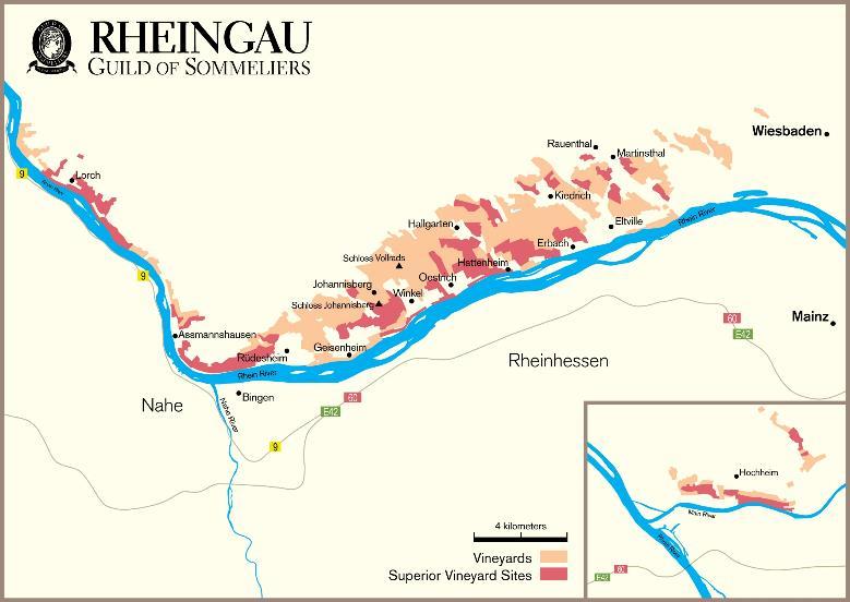 Germany Rheingau (Rhine district) Hock 80% of 7,700 acres are Riesling The Rhine Valley, along the 50 of latitude.
