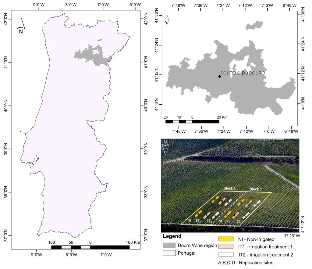 Figure 1. Location of the study area in the Douro Wine Region, Northeast Portugal, and identification of the experimental plot, with Blocks 1 and 2,