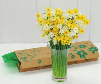 00 Pack D 50 flowers Pack D 50 flowers 18.50 GET IN TOUCH Pack E 60 flowers 20.