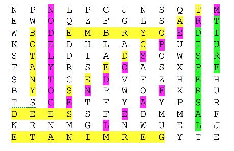 ANSWERS Key for Seed Word Search activity: Example of possible answers to Seeds We Eat activity: corn, wheat, oat, pea, bean, sesame, poppy, caraway, coconut, walnut, peanut, nutmeg,