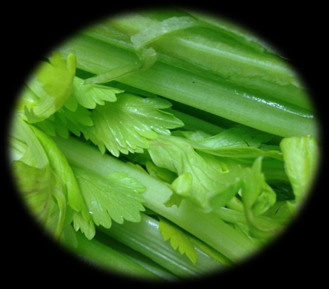 Celery Juices Celery (Apium graveolens var. dulce) is a plant from the Apiaceae family.