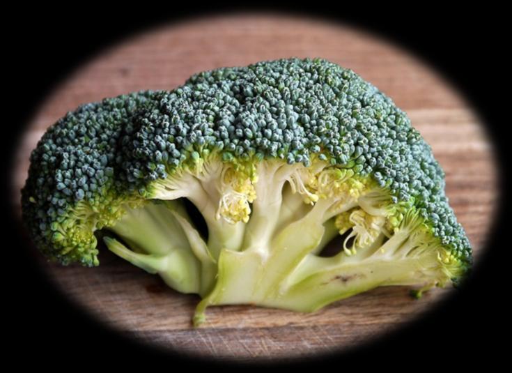 Juice all ingredients. Pour into a glass and mix until well blended. Broccoli Juices Broccoli is an edible green plant from cabbage family.