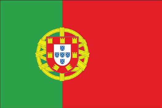 Portugal s national rugby team became the first all-amateur team to qualify for the World Cup in 2007 since the beginning of the professional era.