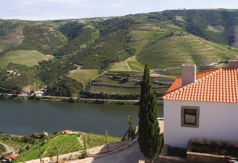 Silva e Sousa also serves as a continuing consultant for a number of wineries and port companies. He is also building a new wine company in the Douro that should be completed later this year.