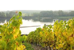 fr About InterLoire InterLoire is an inter-professional association representing 3,000 operators within the wine industry growers, négociants and cooperatives selling an average of 2