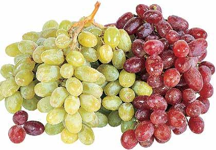 Seedless Grapes ~1 Tomatoes (14.5-15 oz.