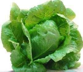 This lettuce looks healthy, why should