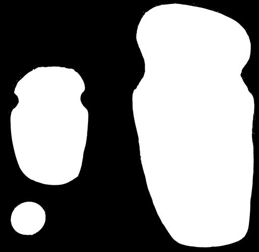 A large variety of flaked stone tools, shown on the right, were found at Carrier Mills.