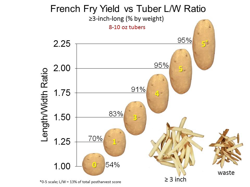 217 Late Harvest Regional Trial LRT Length to Width Ratios of 8-1 oz Tubers Length to width ratio Clone WA rtg ID rtg OR rtg 3 State Avg. 1 Ranger Russet 1.67 4 No Sample 2.47 5 2.