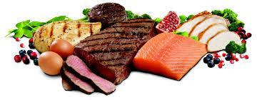 Protein Necessary, but in moderation Too little or to much can be problematic.