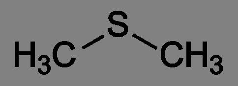 Dimethyl Sulfide Odour: Sulfurous, fishy,