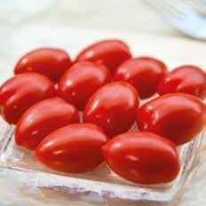 CAPRICCIO HF1 Mini plum tomato with outstanding taste ToMV:0-2/Fol:0/Pf:A-E TASTYNO HF1 Delicious and resistant to TYLCV ToMV:0-2/Pf:A-E /TYLCV Mini plum type with egg-shaped fruits combining