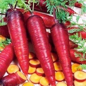 Carrots Daucus carota Days 70-73 2006 All American Selections winner Purple skin with bright orange interior Cooking