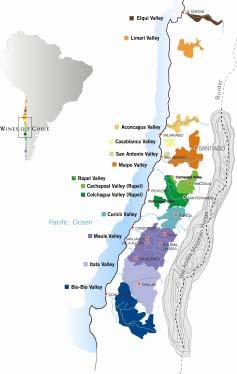 Chilean Wine Industry Very decentralized Geographical Region Ha.