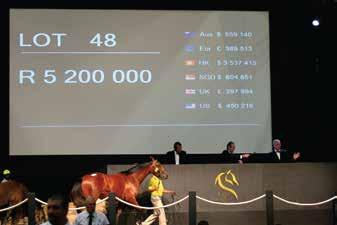 000.00. EMPERORS PALACE SELECT YEARLING SALE GAUTENG: APRIL This sale is held on the grounds of the 5 star D oreal Grande Hotel at the Emperors Palace complex.